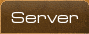 Server